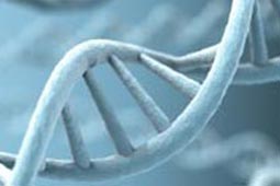 发卡网推荐的ddos页端